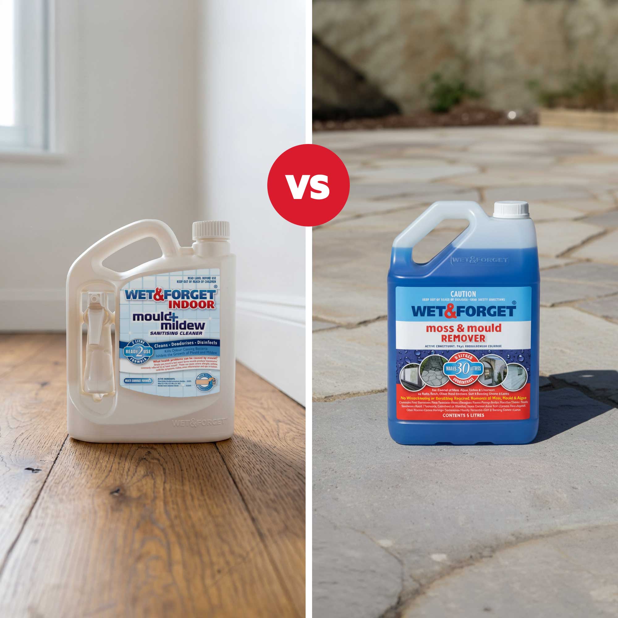 Treating Mould: Indoor vs. Outdoor