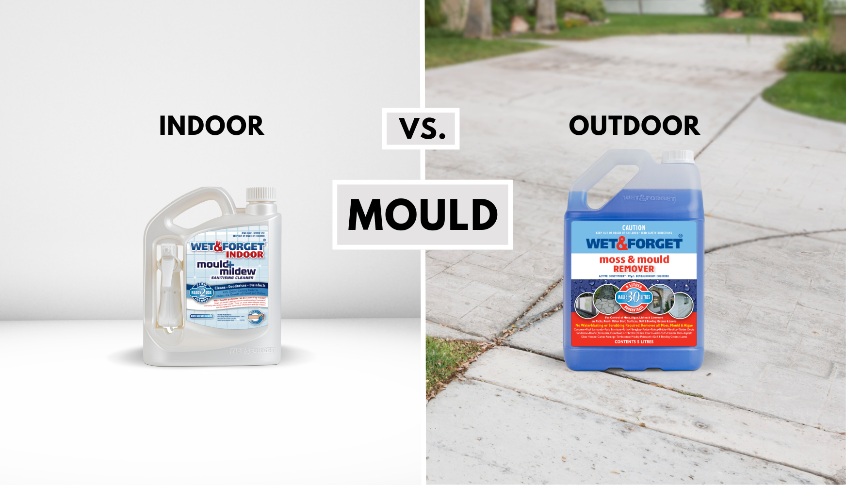 Treating Mould: Indoor vs. Outdoor