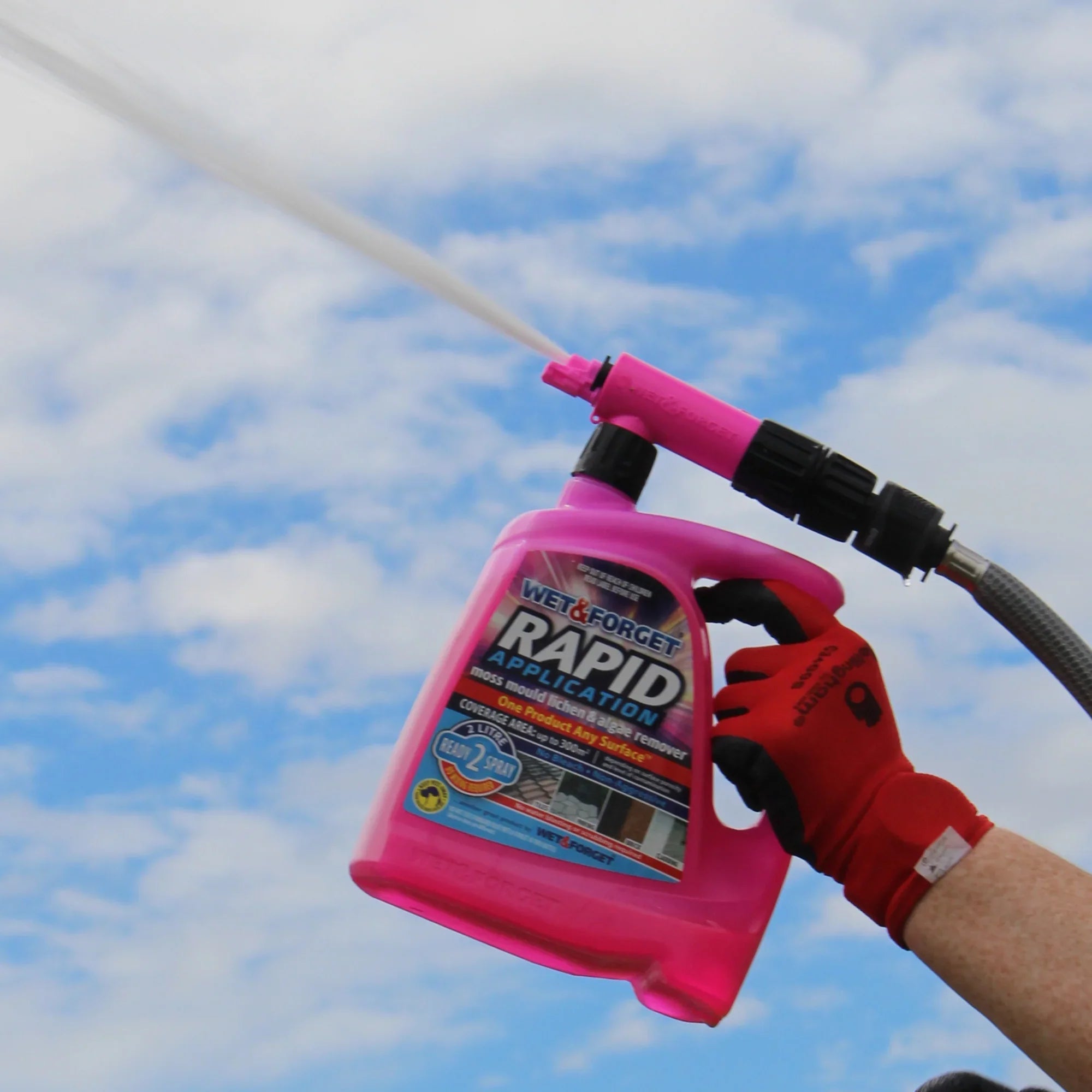 Strategies For Outdoor Mould Removal and Prevention
