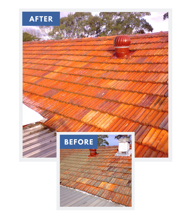 Rapid Application 2L - Exterior Moss & Mould Remover Hose-End