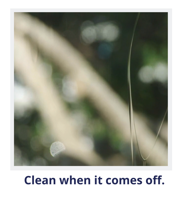 Window Witch 2L - Exterior Glass & Window Cleaner