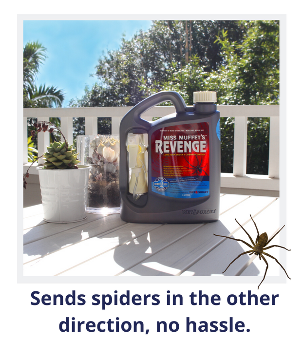 Miss Muffet's Revenge 2L - Exterior Spider Repellent