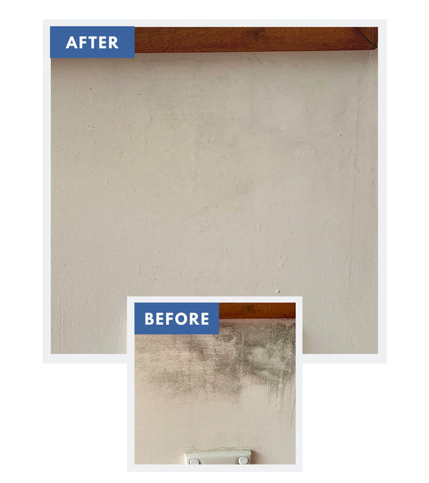 Wet & Forget Indoor 2L - Indoor Mould & Mildew Remover