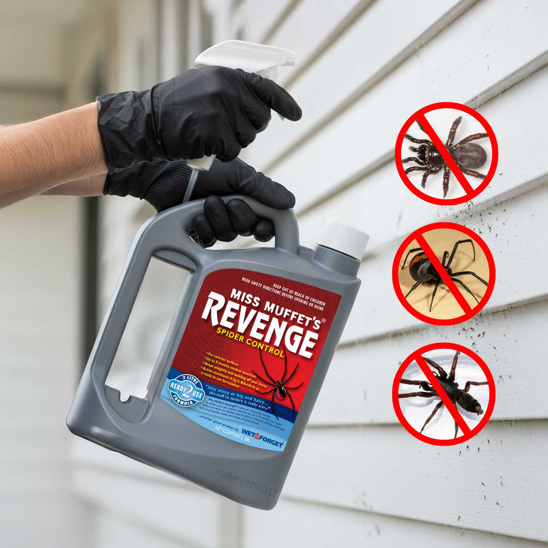 How to Maintain a Spider-free Home and Control their Webs
