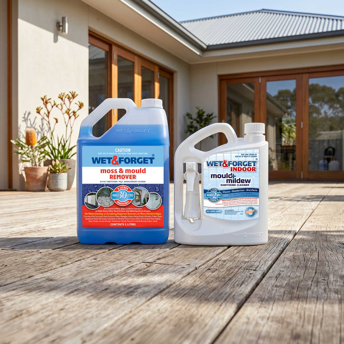 Mould has a new best friend… La Nina!