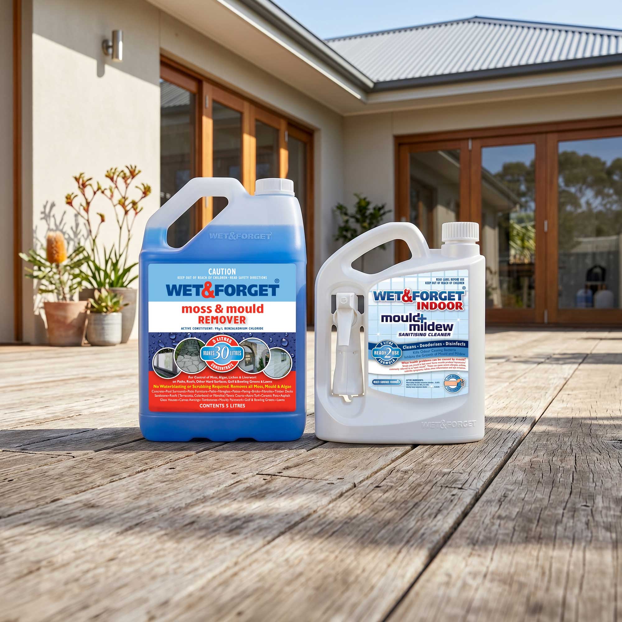 Mould has a new best friend… La Nina!