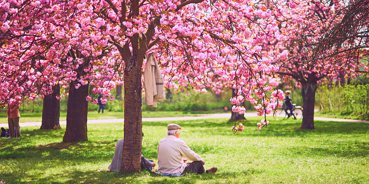 Our top 6 Spring Cleaning Jobs — Wet & Australia