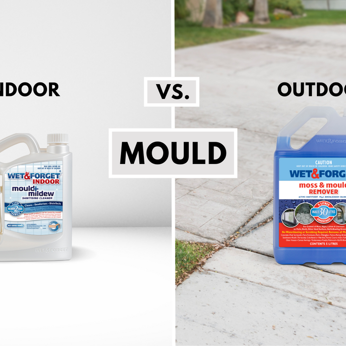 Treating Mould: Indoor vs. Outdoor