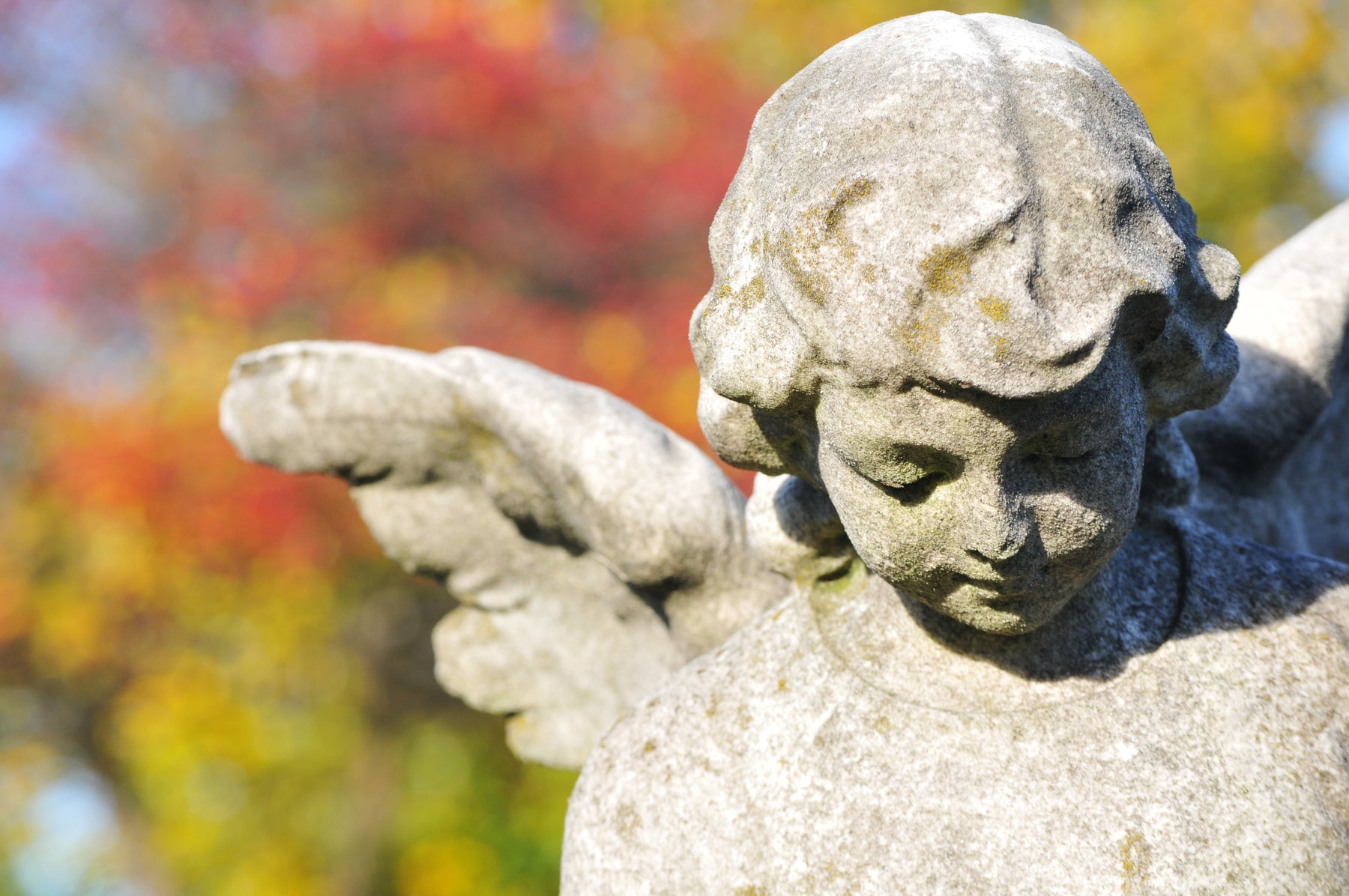 Cleaning headstones with Wet & Forget