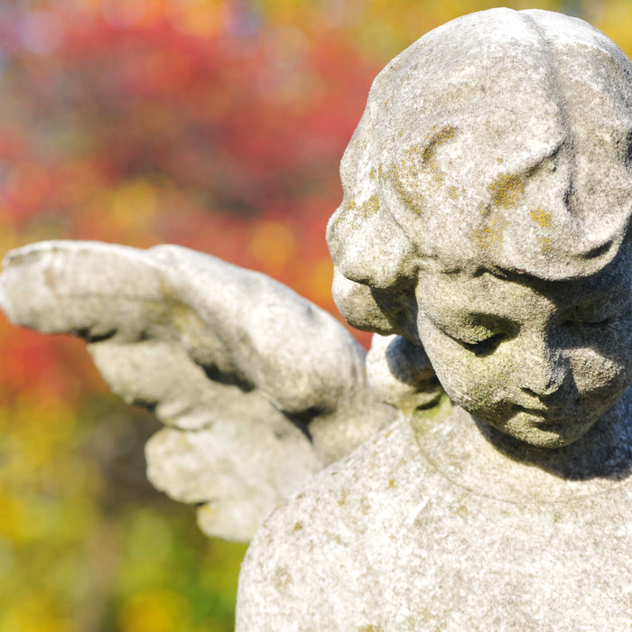 Cleaning headstones with Wet & Forget