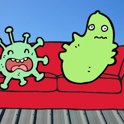 Had a lot of rain? Learn how to stop the fungi-party.