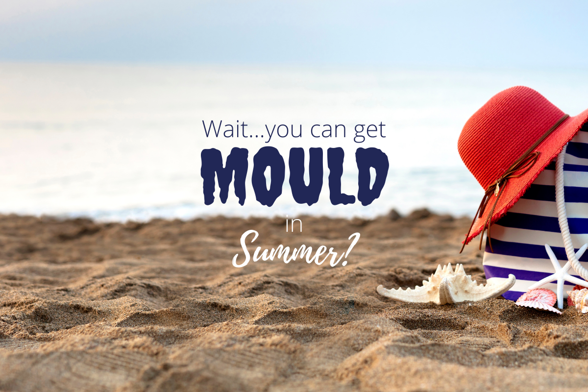 What to do about mould removal in summer