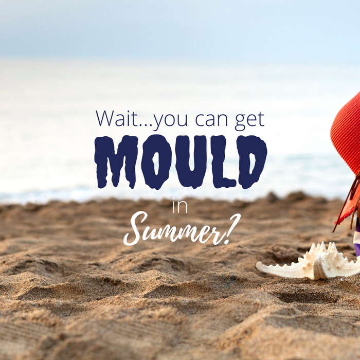 What to do about mould removal in summer