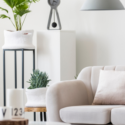 Winter: the era of indoor mould and mildew