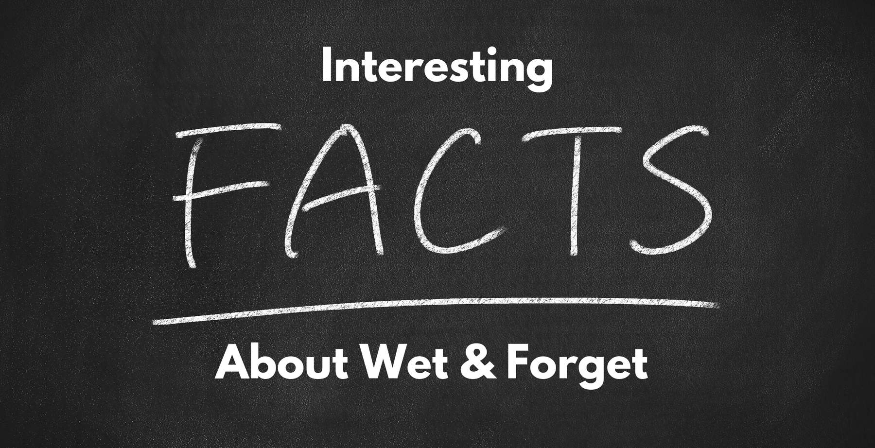 Wet & Forget Interesting Facts