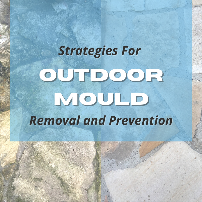 Strategies For Outdoor Mould Removal and Prevention